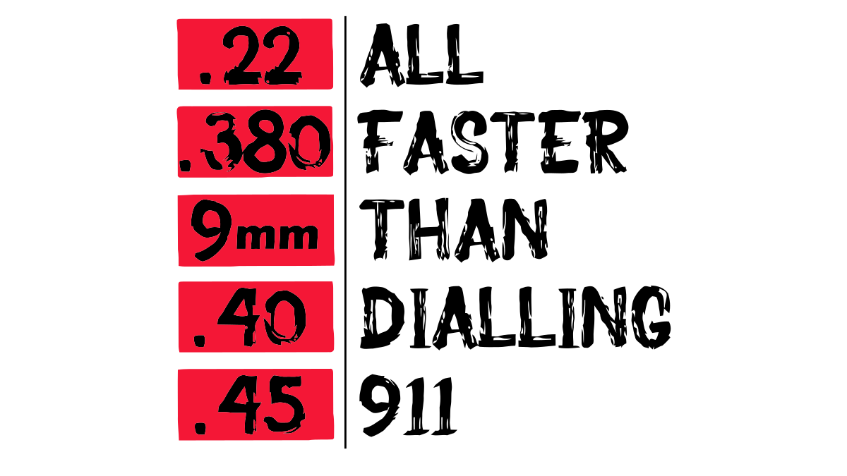 2nd Amendment/2ndAmendment 12.png